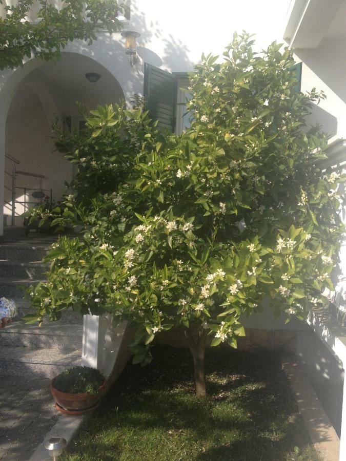 Apartmani Vukicevic Vodice Extérieur photo